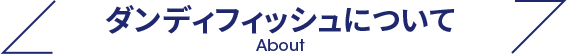 ダンディフィッシュについて About
